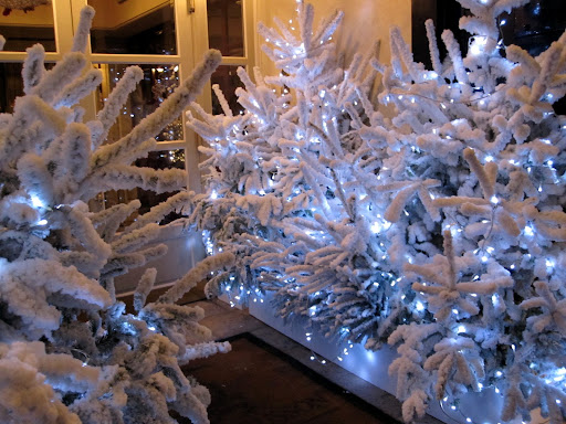 冬夜之圣诞橱窗一些 冬夜之圣诞橱窗一些