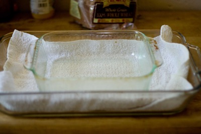  Coconut and Lime Pudding Cake