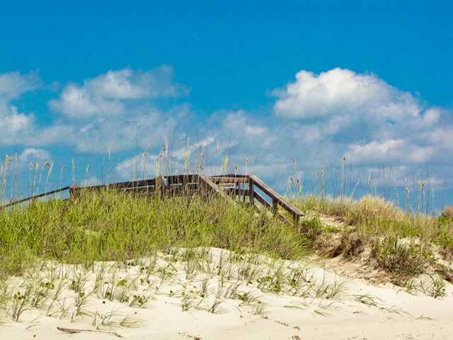 [dunesatbeach (1 of 1)[4].jpg]