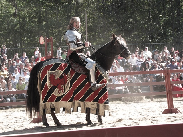[joustknight (1 of 1)[4].jpg]