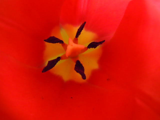 \"\"