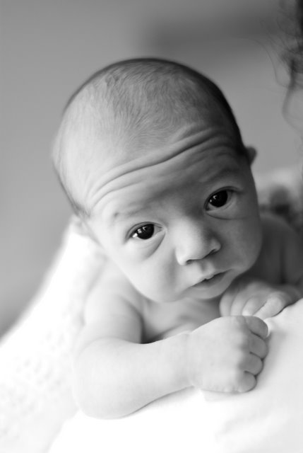 Miserere - Baby Simon Photo