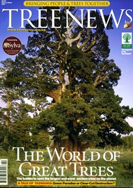 TREE NEWS88 TREE NEWS88