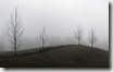 dewy-meadow-wallpapers_13663_1440x9<br />
00