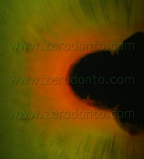 [fig 14[4].jpg]