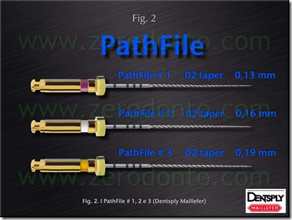 pathfile nichel titanio pathfile nichel titanio