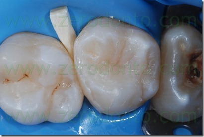 Fig0058Rosti Q2