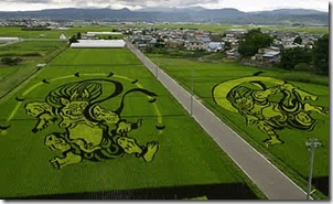 rice-art09