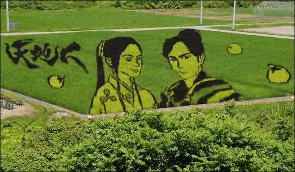 [riceart14600x3514.jpg]