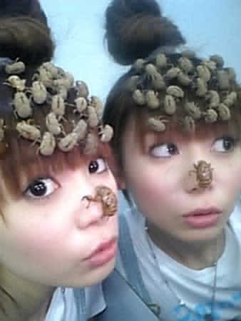 [shokotan1[4].jpg]