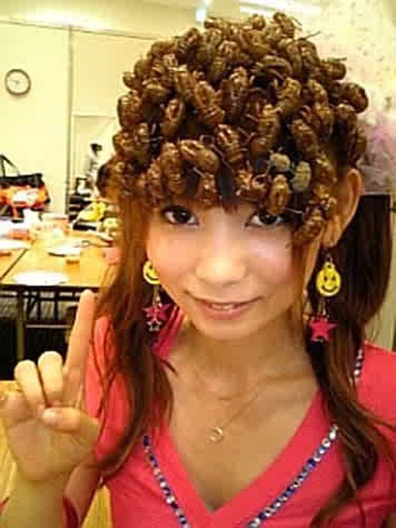 [shokotan3[3].jpg]