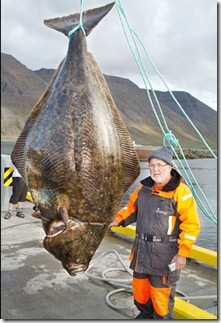 Ikan hasil pancingan