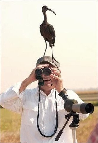[aves_2[5].jpg]