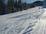 20100116_006.jpg