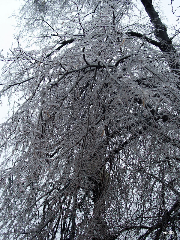 Москва - для всех 