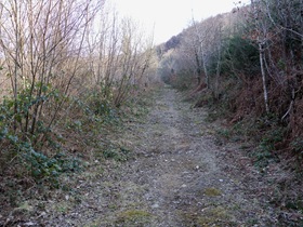 trackway_2