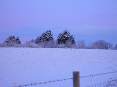 Distant shot across the snowy field