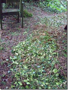 Hedge shreddings on a path