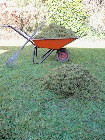 [moss_in_wheelbarrow[2].jpg]