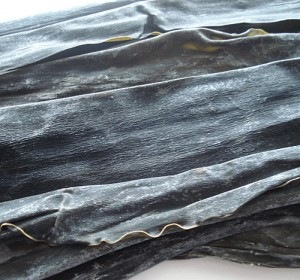 [Kombu[2].jpg]