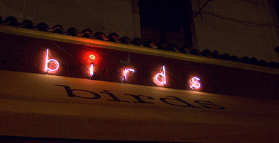 [outsidenight2[10].gif]