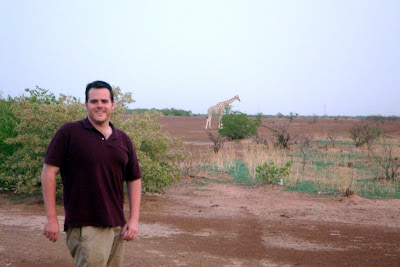 west african giraffe and white gorilla