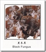 blackFungus