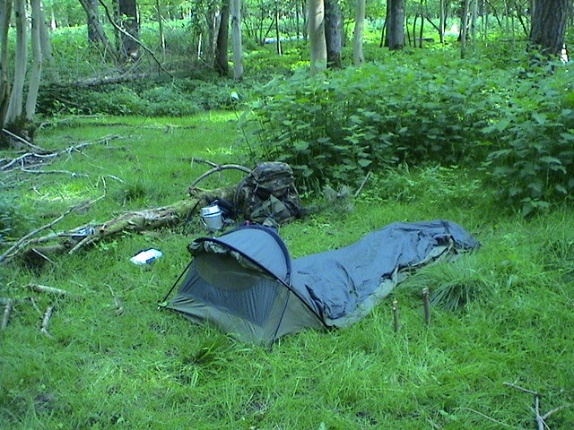 [DSC004384.jpg]