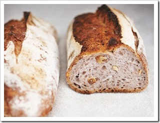 hasselnötsbröd hasselnötsbröd