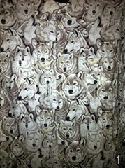 img_1056_1300900808_943431305