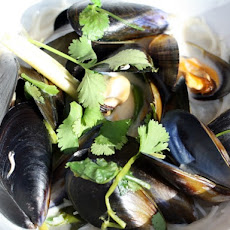 Dinner for Two: Coconutty Mussels with Ginger, Lemongrass, Chili, and Cilantro on Rice Noodles