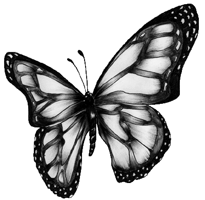 [butterflybw[4].gif]