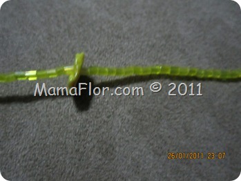 IMG_0295 IMG_0295