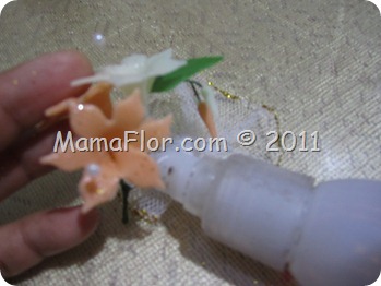 IMG_0589 IMG_0589