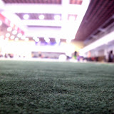 Carpet view