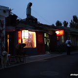 IMG_7279.JPG