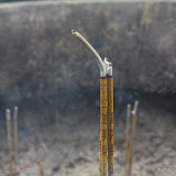 IMG_8633.JPG