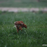 IMG_8673.JPG