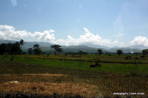 Rice fields (Day 6: Thu, 9/17)
