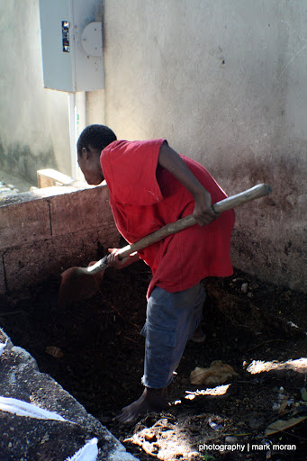 Digging (Day 8: Sat, 9/19)