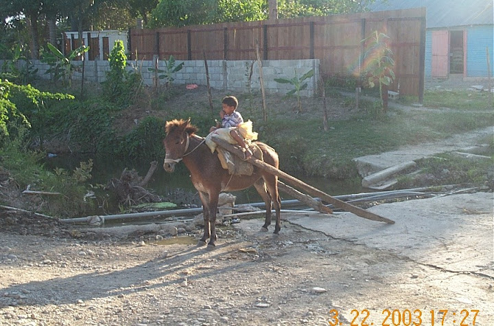 boy%20on%20burrow%20carrying%20wooden%20planks.JPG
