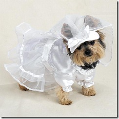 WeddingDress WeddingDress