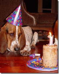 party_animals_photo_contest_86372_xl party_animals_photo_contest_86372_xl