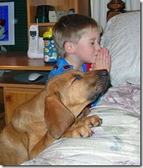 people-and-dogs-33 people-and-dogs-33