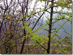 DSCN2536