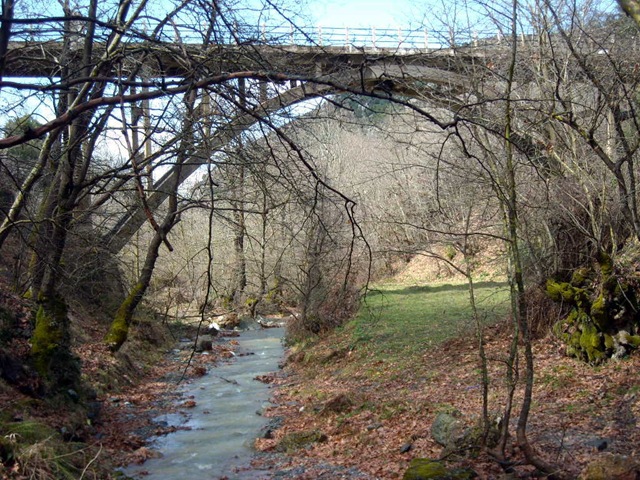 [DSCN26132.jpg]