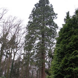 20090118 023.JPG