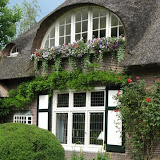20090628 055.JPG