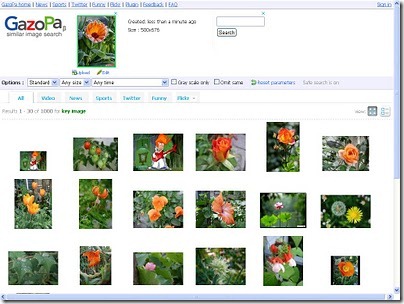 similar image search upload. But what if you need to search related images through a picture that you 