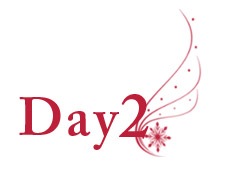[12daysofchristmasday2-maggielamarre copy[4].jpg]